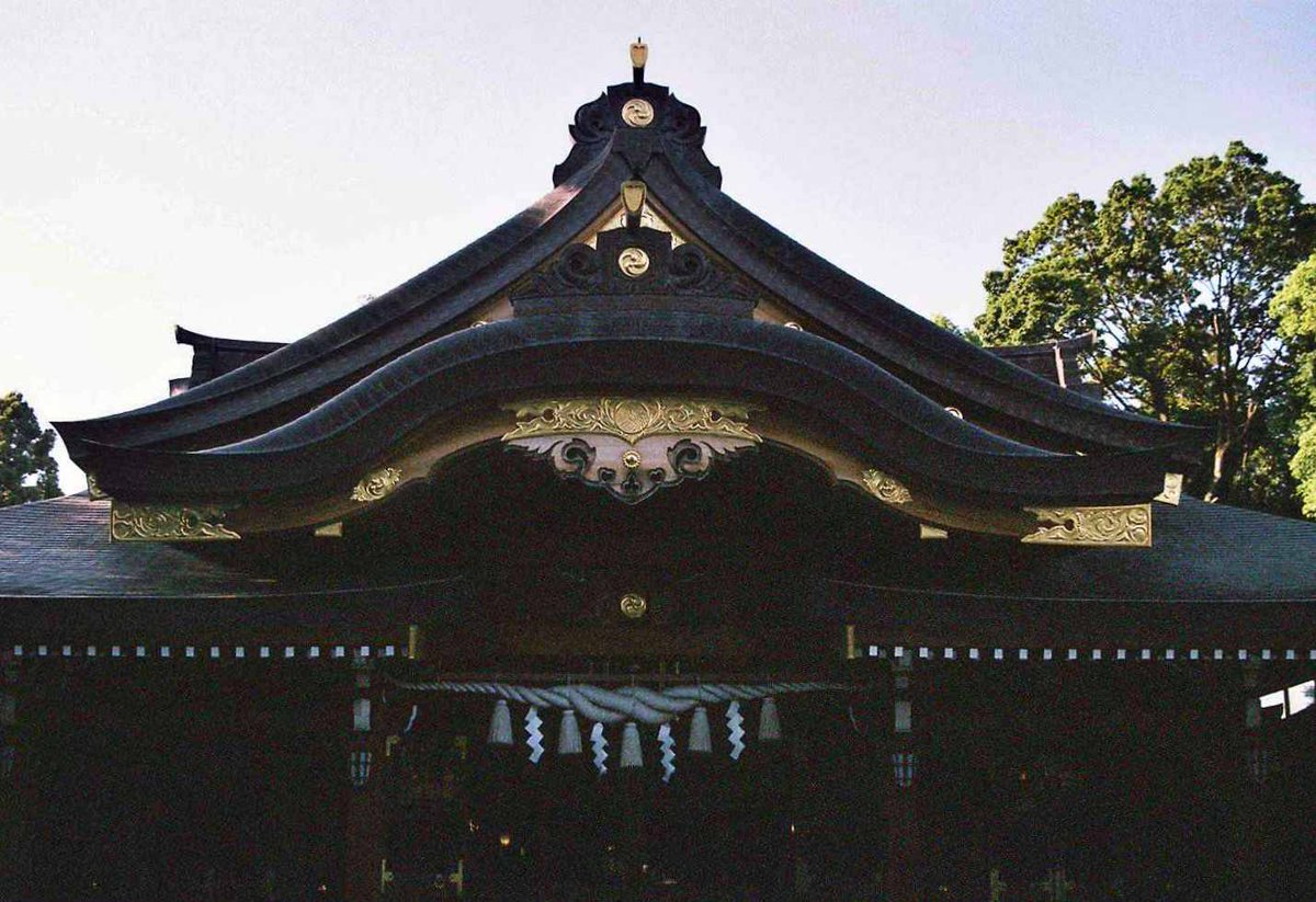kashimu_HAMA's tweet photo. 相模原夏詣
上溝に着いて亀が池八幡宮に参拝して来ました。
御社殿も豪華で、境内にゴールド神社や亀八招福稲荷神社がありご利益あらたかですね。
#PENTAX ME+COSINA 28-70mm
#フィルムカメラ
#SUPERIA X-TRA400 期限:2019-10 補正値:なし
#期限切れフィルム
#カメスズ https://t.co/43UOjlQOPr