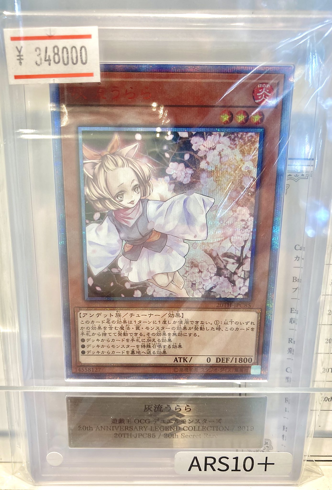 宝丈萊香　まとめ売り GREwxm8b0AAtem9.jpg:large