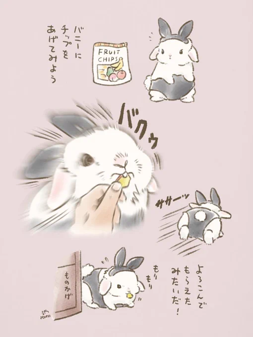 🐰バニーの日!バニーにの日!バニーさんの日! 