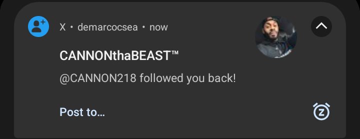 Don DeMarco San👑 tweet media