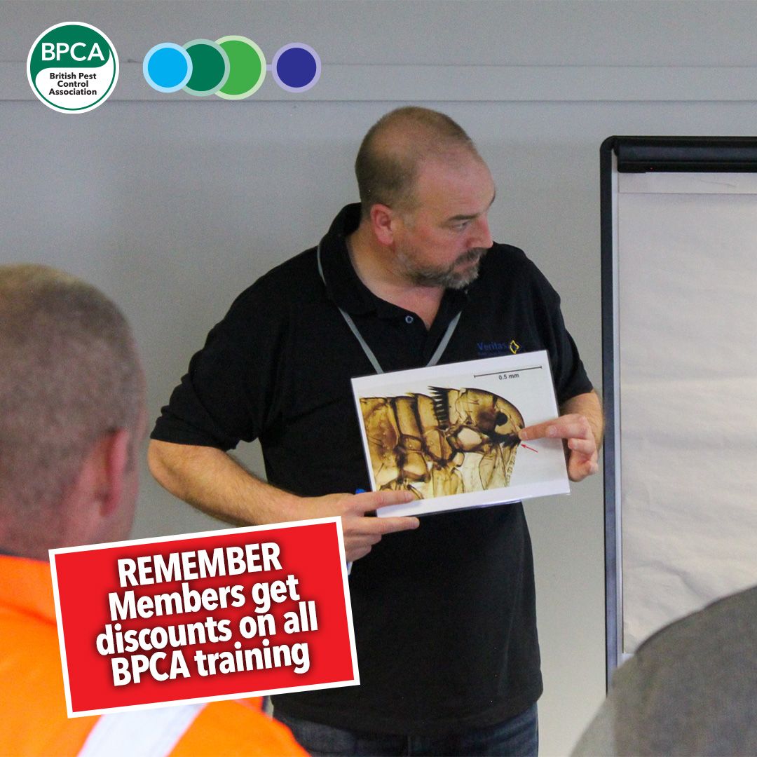 We've got three dates left this year for the Level 2 Award in Pest Management course:

📍 12-17 Oct, Edinburgh
📍 16-21 Nov, Milton Keynes
📍 7-12 Dec, Staffordshire 

Info and book: buff.ly/U9YsnQs 

#PestControl #Careers #Qualifications #Courses #Learning #Training