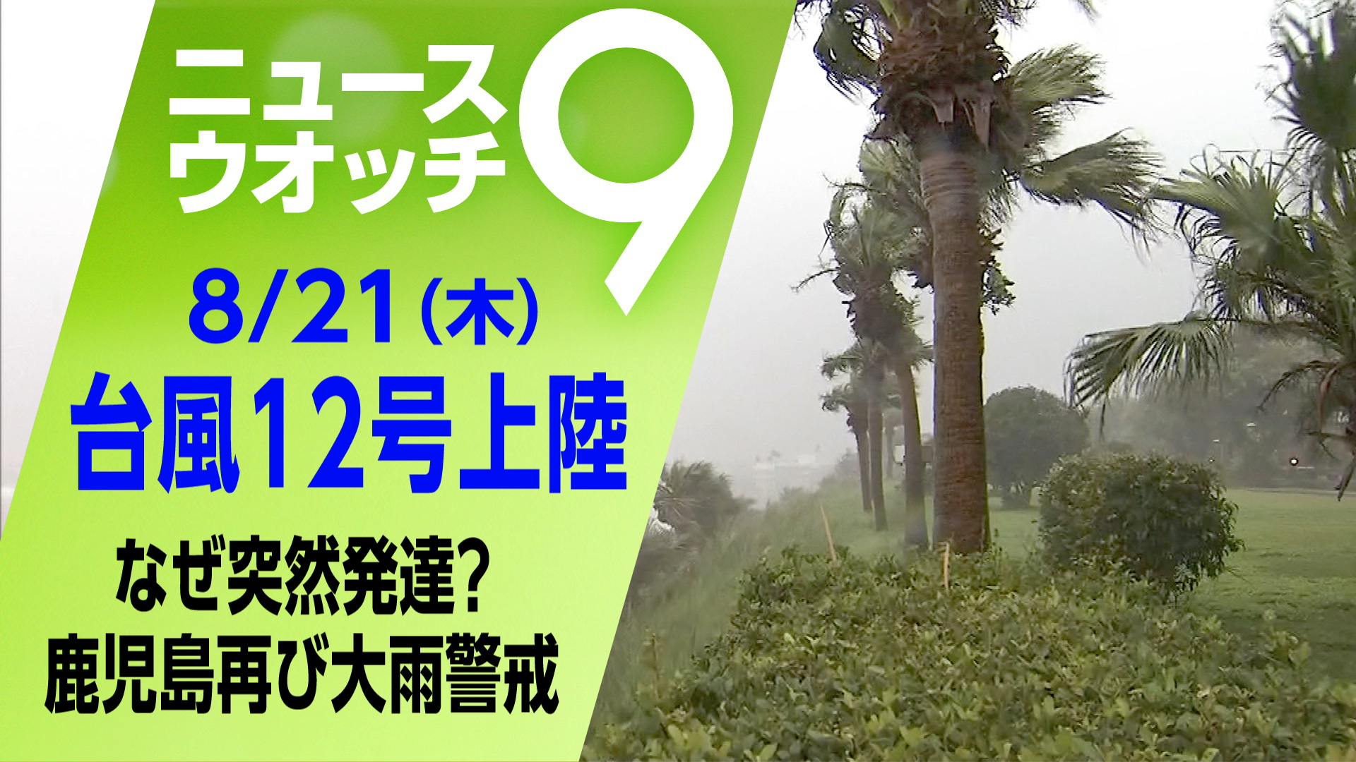 ニュースウオッチ9（サタデーウオッチ9） on X: 