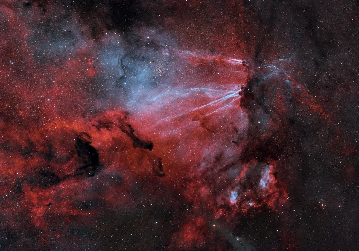 AstroBin's Image of the Day: "Blue Sprites in Sagittarius" by Glenn Baxter

astrobin.com/s6pjzx/

#astrophotography