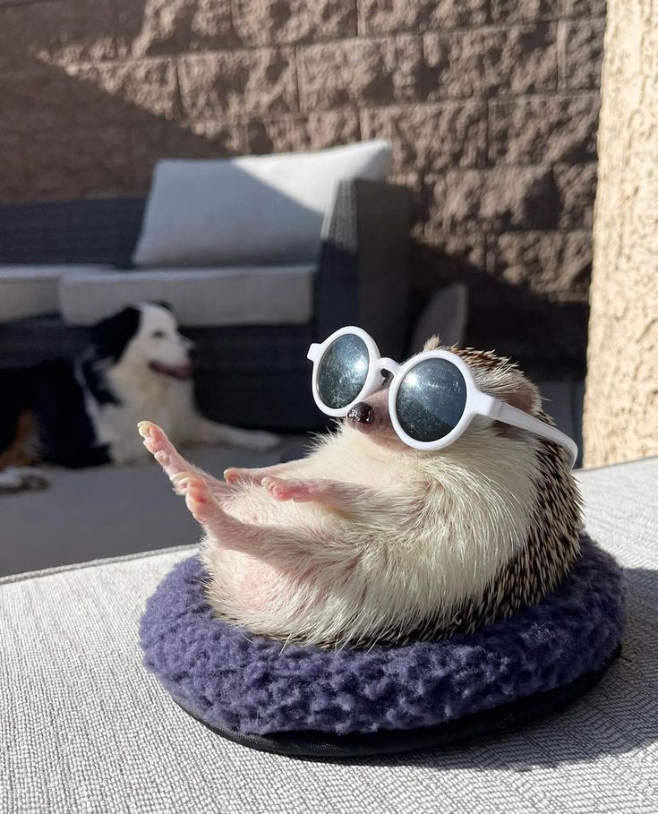 Me right now 😊😁