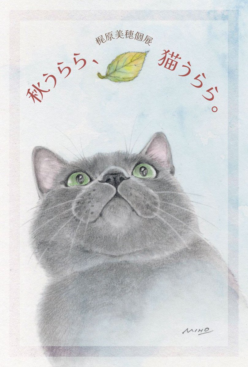 梶原美穂　猫イラスト　【太猫】 梶原美穂😸9/18-10/6個展「秋うらら、猫うらら。」@またたび堂