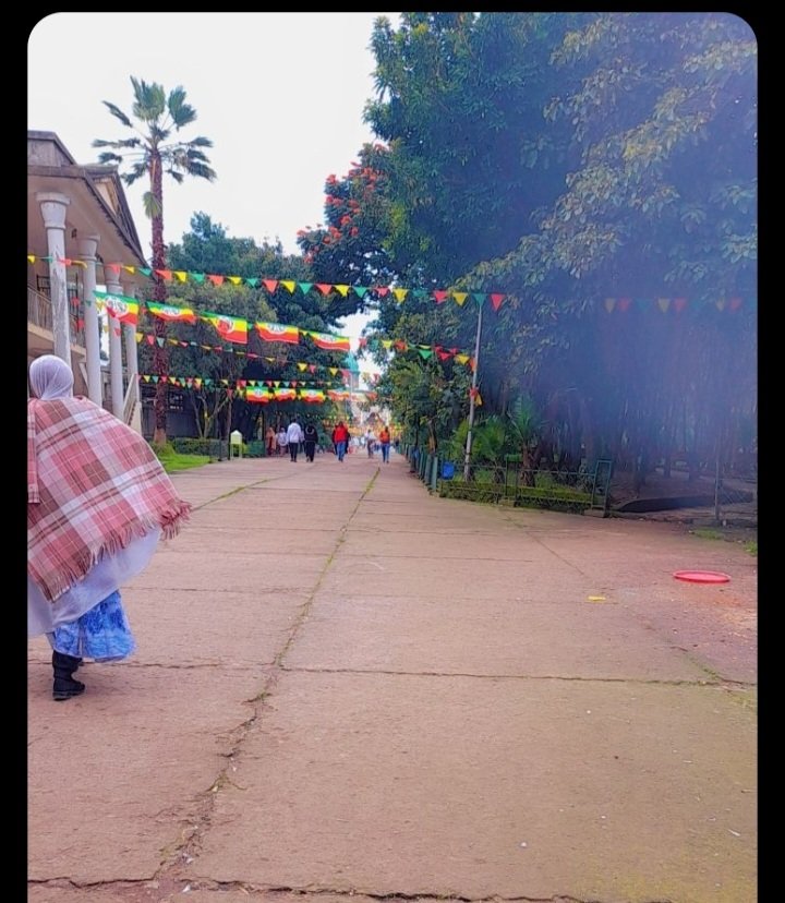 emuti1222's tweet photo. የኪዳነ ምህረት ድባቡ እንዴት ደስ እንደሚል🥰 https://t.co/5WrWWedU7V