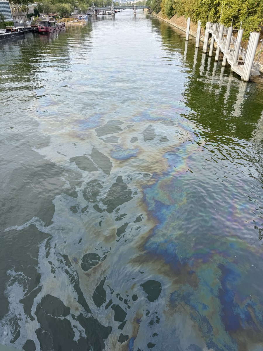 Soap741's tweet photo. Heureusement qu’on a pas nagé la dedans ! 

(Pont de Bir Hakeim, 21/08 à 9h30)
#seine #paris #saccageparis #pollution https://t.co/szp62zrIqH