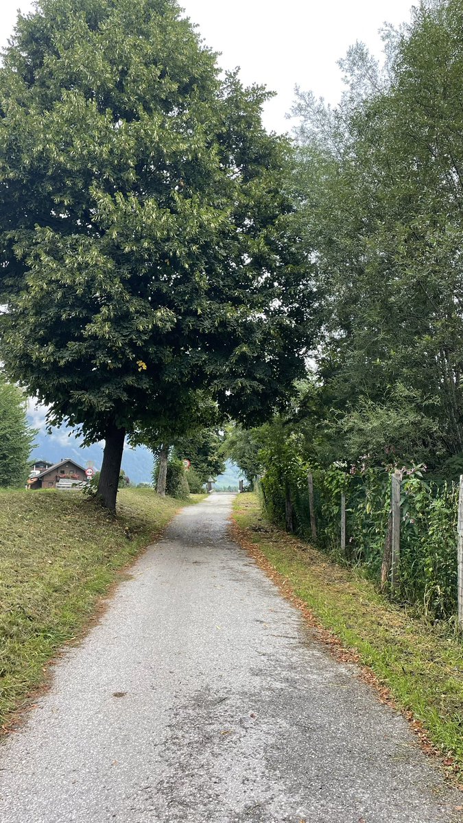 أصبح و قوم وقول الاذكار
و عليك ربي  يكون  حافظ

صباح الخير