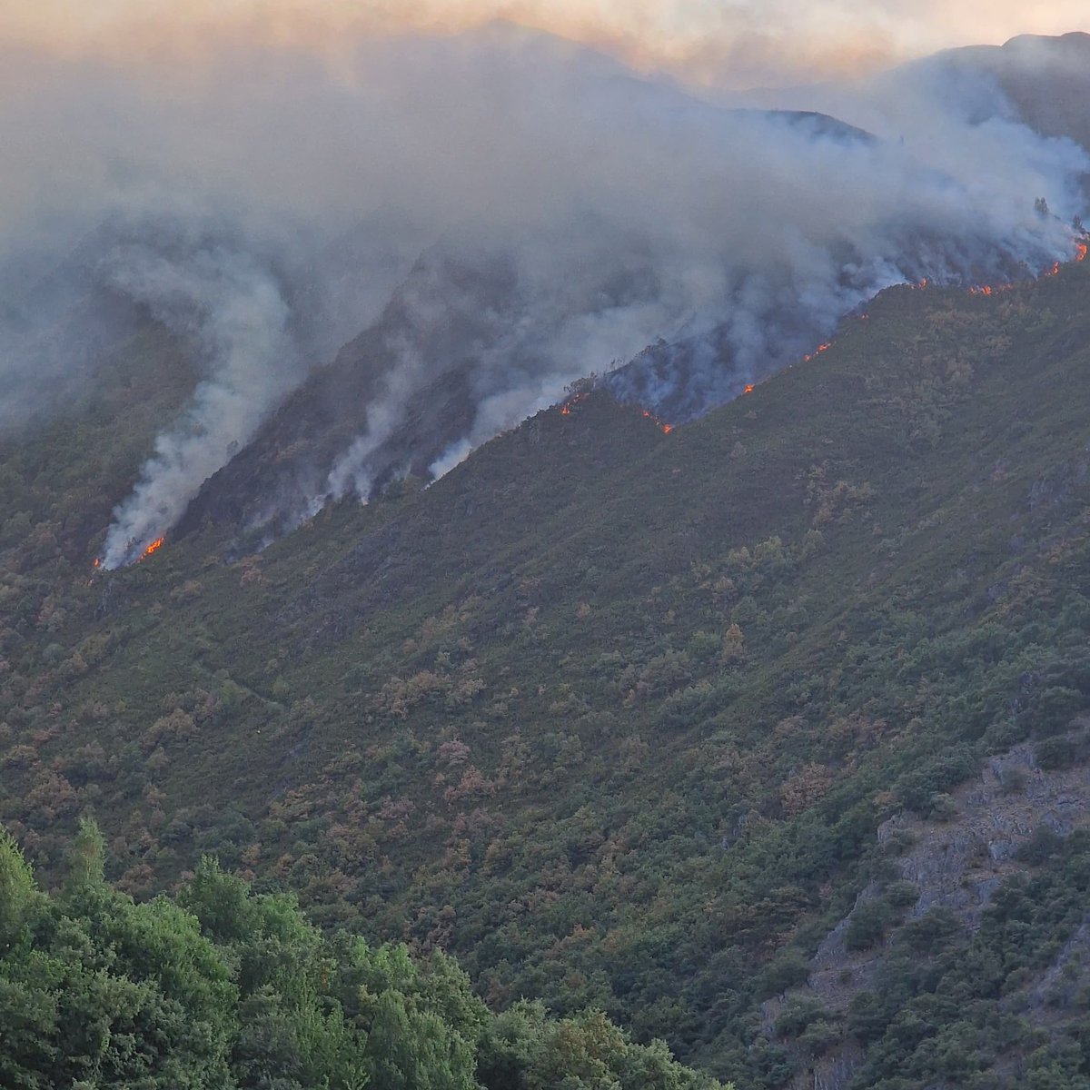 <a href="/8Bierzo/">La 8 Bierzo</a> Peñalba de Santiago abandonada a su suerte; los vecinos solos contra el fuego. El incendio vuelve a coger fuerza... y ya amenaza que llegue a masa forestal y arrase toda la Tebaida Berciana. Unas fotos de ayer tarde y noche...