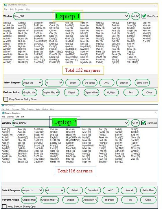 <a href="/ApEplasmid/">ApE A plasmid editor</a> why do we see difference in the number of restriction enzymes displayed in two laptops having same version of ApE