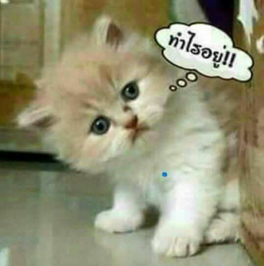 459ssaann's tweet photo. @velvtey https://t.co/BXoXAszFHO