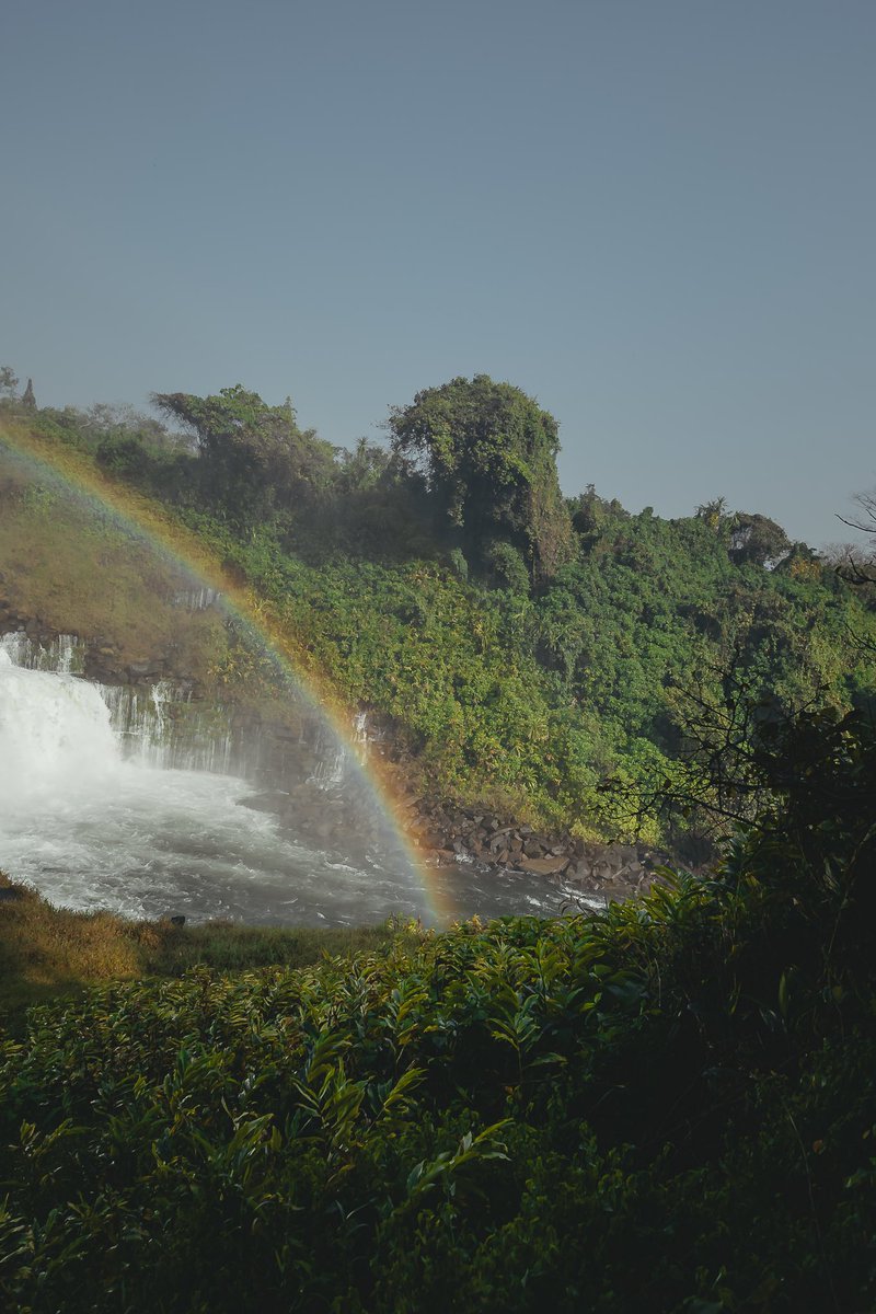 Have you been to Kabwelume Falls? 🌊

A gem north of Zambia, thundering along the Kalungwishi River, just downstream from Lumangwe Falls. 

📸with <a href="/kooma_jnr/">Kooma_Jnr⚔️</a> 

#DiscoverZambia #KabwelumeFalls