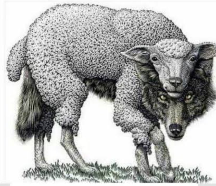 "Ahir zamanda öyle kimseler türeyecektir ki, bunlar dinlerini dünyalığa alet edeceklerdir. İnsanlara karşı koyun postuna bürünmüş gibi yumuşak ve güzel huylu görünürler. Dilleri şekerden bile tatlıdır. Amma kalbleri kurt gönlü gibidir. Aziz ve Celil olan Allah-u Teâlâ bu gibiler