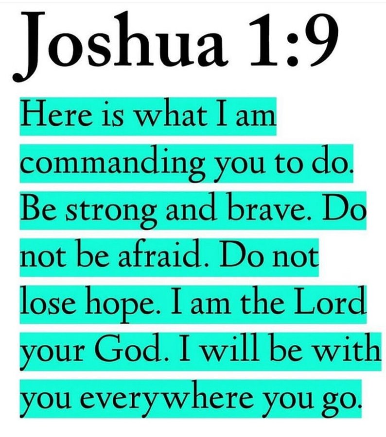 Bible 365 (@bible365_) on Twitter photo 