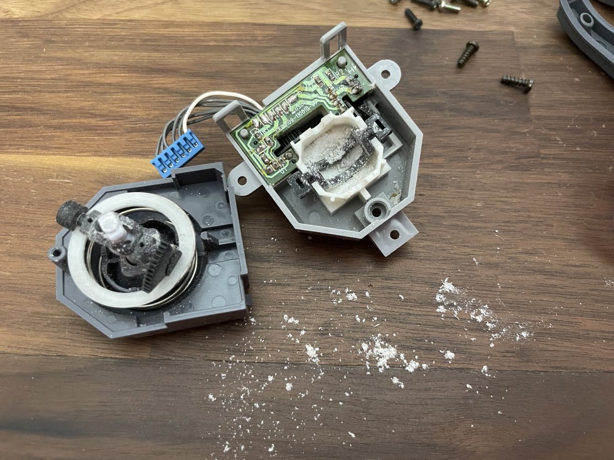 Evening Primrose 🌃🏵 tweet media