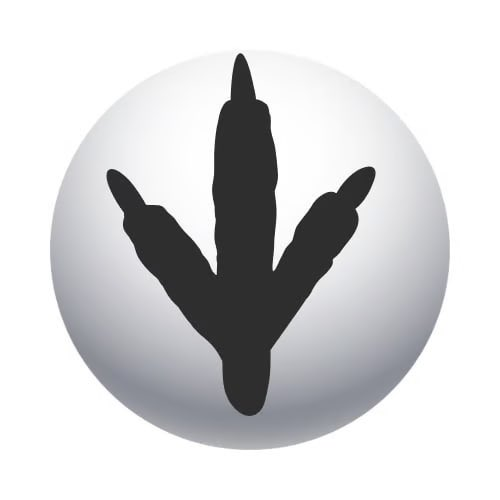 <a href="/PowderWeb3/">Powder🚀</a> 🔥 $ZYZ MONEY — the ultimate creator + meme coin for the culture.
Launched by none other than Kanye himself.

📦 ca: D7RsjvcpfVeWGemwytqEU9pWBjF56EagDGHSYh3fpump

📢 tg: t.me/zyzcash

pump.fun/coin/D7Rsjvcpf…