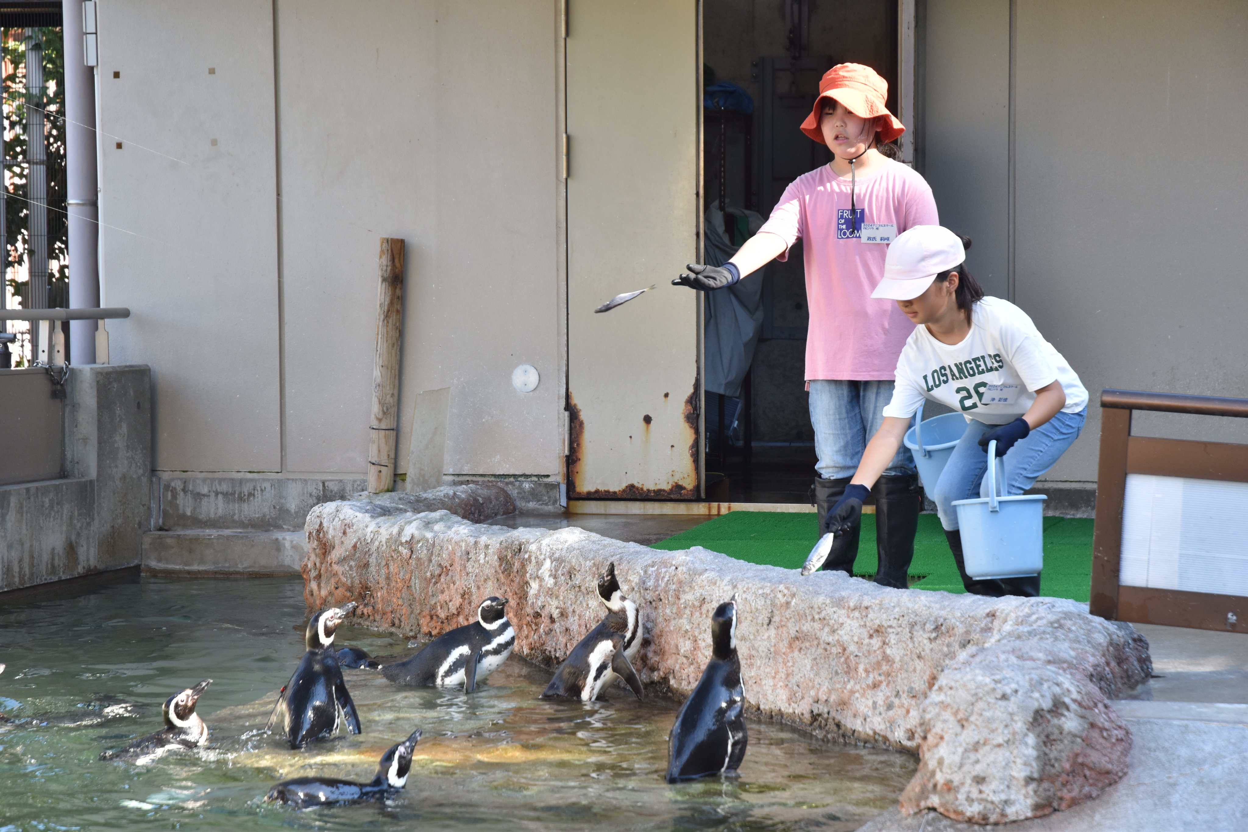動物園学 動物園学 | 村田 浩一, 楠田 哲士 |本 | 通販 | Amazon