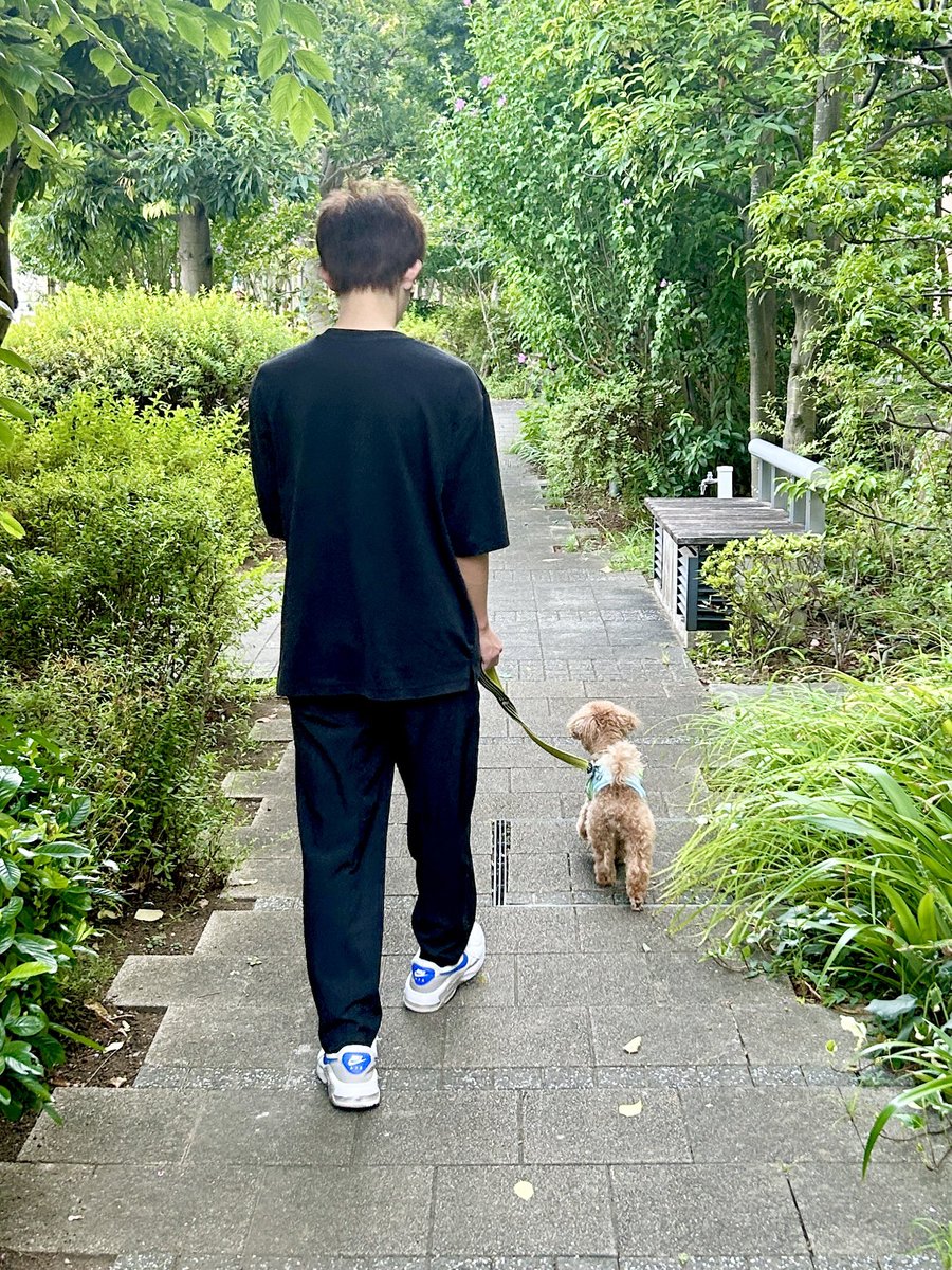 久しぶりに…

互いに自分の方がお兄ちゃんだと
思ってるコンビ…

でお散歩🐶