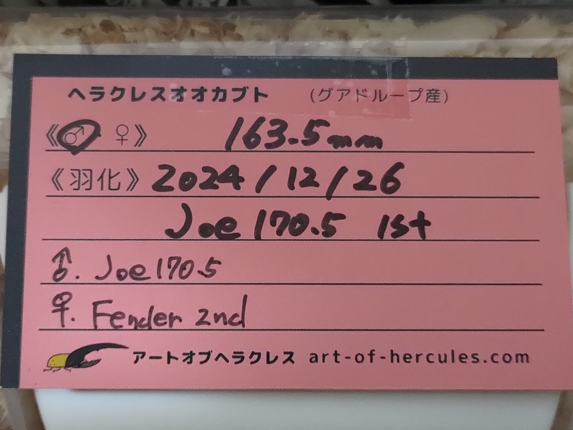 kikyo（祈京）＠Geeks on X: 