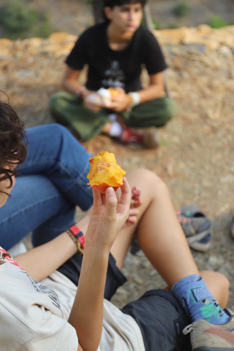 Venus La Universal tweet media