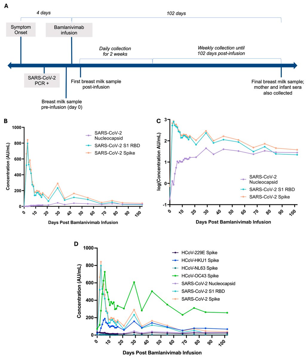 SARS-CoV-2 and HCoV IgG Antibodies in the Breast Milk of a Postpartum SARS-CoV-2 Patient Following Bamlanivimab Administration: A Case Report 🦠

by Guadalein Tanunliong et al.

Check more information below:
brnw.ch/21wV52C