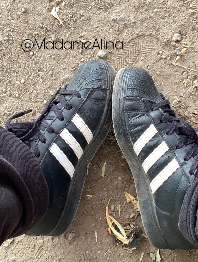MadameAlina's tweet photo. Liż!👇🏼🐶😈 |@RTNiewolnik @rtpromofindom1 @FindomPolish @andrzejmarston #findom #femdom #findomgodess #findomuk #findomprincess #paypig #payPigsONLY #paypigswanted #feet #feetworshi̇p #feetfetısh #feetzone #goddess #cuckold| https://t.co/RK7O44vJxW