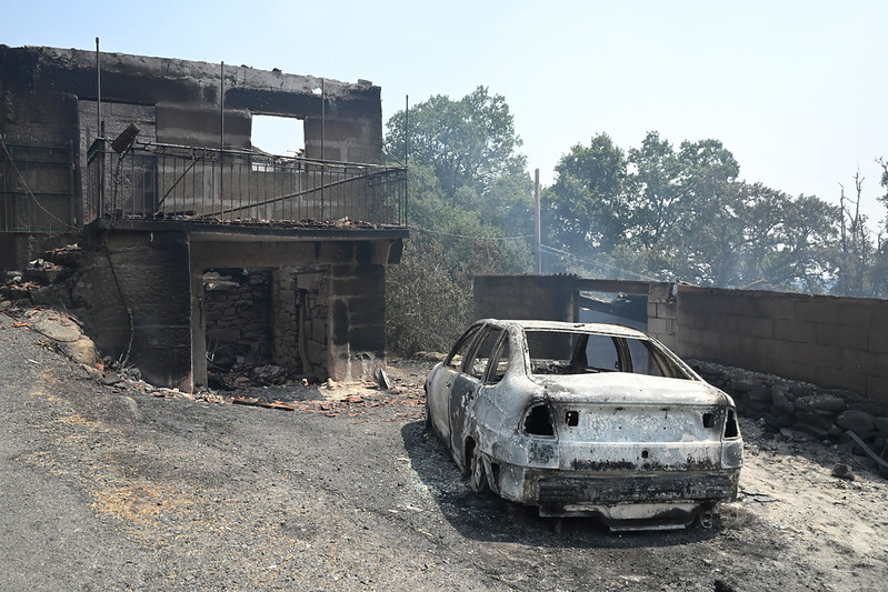 Ingeniería de Montes (@ingdemontes) on Twitter photo El sector forestal y las organizaciones ecologistas han consensuado en los últimos años propuestas de medidas para evitar los grandes incendios forestales.
"Llevan desde hace tiempo encima de la mesa de los partidos políticos", recuerda <a href="/greenpeace_esp/">Greenpeace España</a> t.ly/JIIG4 El sector forestal y las organizaciones ecologistas han consensuado en los últimos años propuestas de medidas para evitar los grandes incendios forestales.
"Llevan desde hace tiempo encima de la mesa de los partidos políticos", recuerda <a href="/greenpeace_esp/">Greenpeace España</a> t.ly/JIIG4