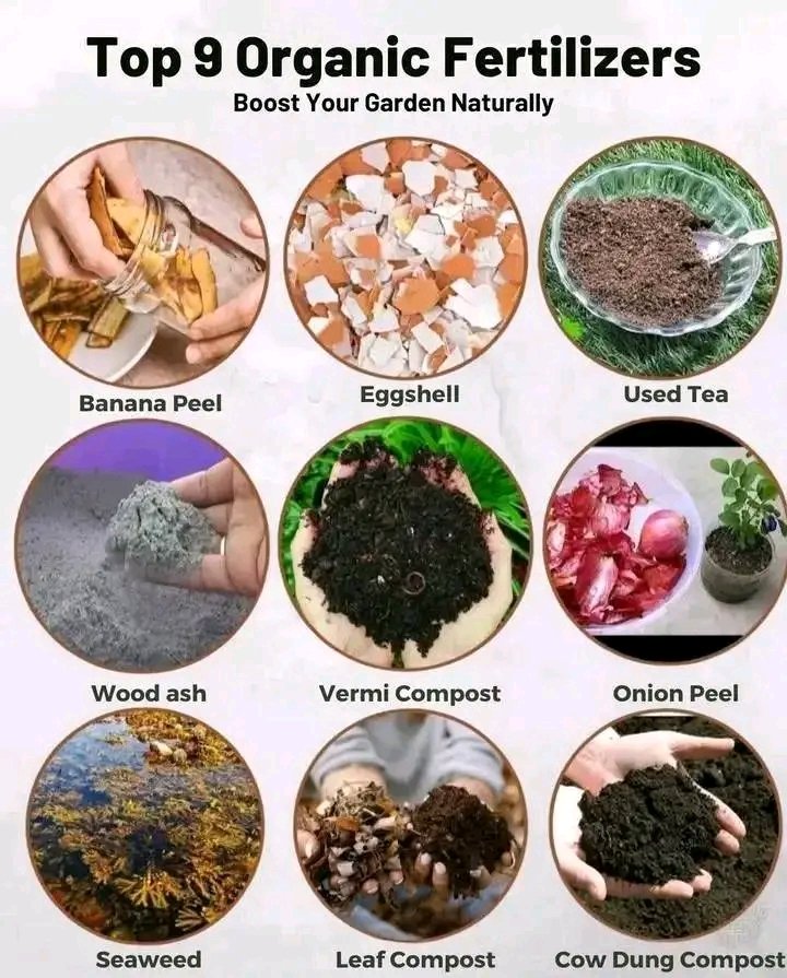 Agriculture Insider tweet media