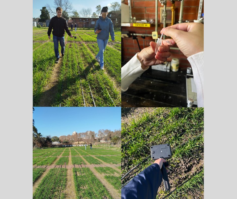Ipanema2020 (@ipanema_2020) on Twitter photo 🚀 Our young researchers from <a href="/BioSenseRS/">BioSense Institute</a> are in Buenos Aires! As part of the #ipanema2020 project, they’re working with Argentinian colleagues on field trials with fertilizers and sensors. Science without borders! 🌱🌍
<a href="/EU_Commission/">European Commission</a> #ScienceWithoutBorders 🚀 Our young researchers from <a href="/BioSenseRS/">BioSense Institute</a> are in Buenos Aires! As part of the #ipanema2020 project, they’re working with Argentinian colleagues on field trials with fertilizers and sensors. Science without borders! 🌱🌍
<a href="/EU_Commission/">European Commission</a> #ScienceWithoutBorders