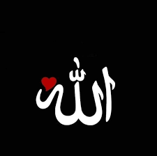 hafiz Ali raza tweet media
