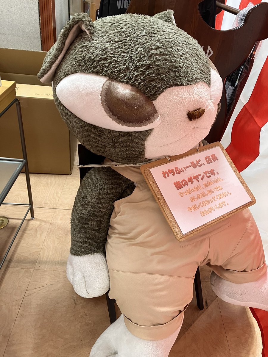 わちふぃーるど ダヤン スタジャン 【公式通販】