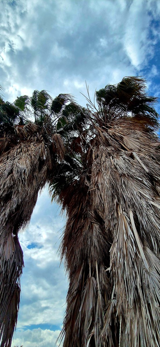 günaydın;
daha yükseğe bak...