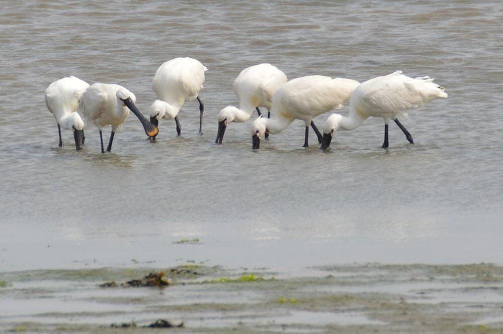 Rondje Terschelling 2025 [30] ⛅️🌬️N4🚵‍♂️ + Rondje Terschelling 2025 [32] ⛅️🌬️N4🚶‍♂️