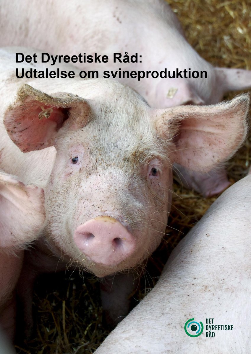 Det Dyreetiske Råd tweet media