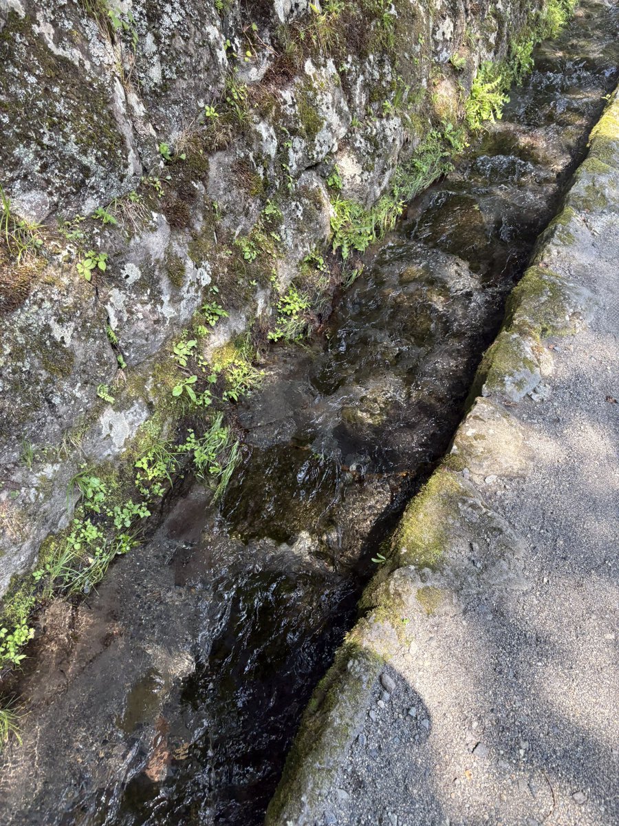 人通りが少ない万博も多くて苔が綺麗だったな