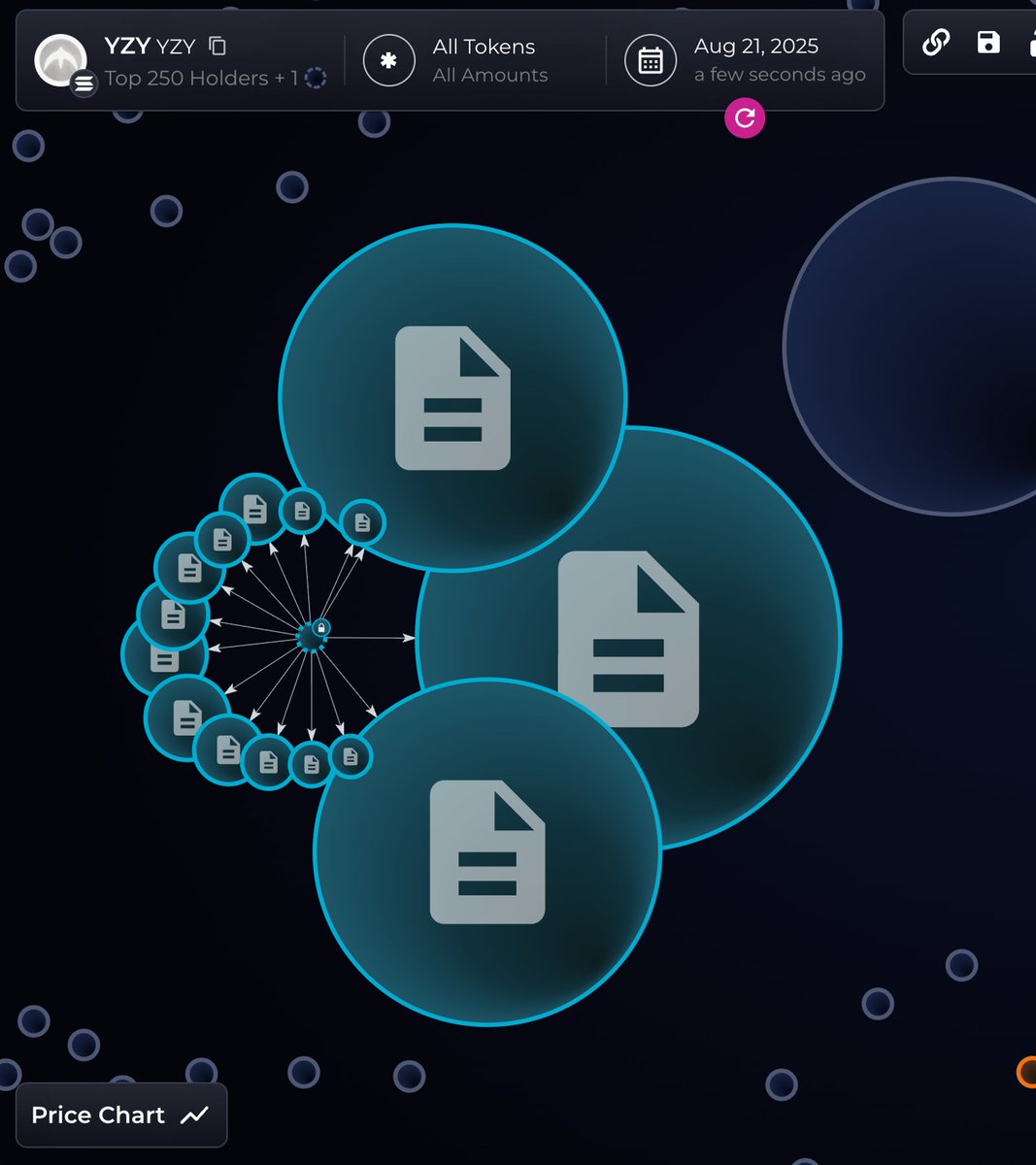 Bubble Maps의 $YZY 토큰 홀더 시각화