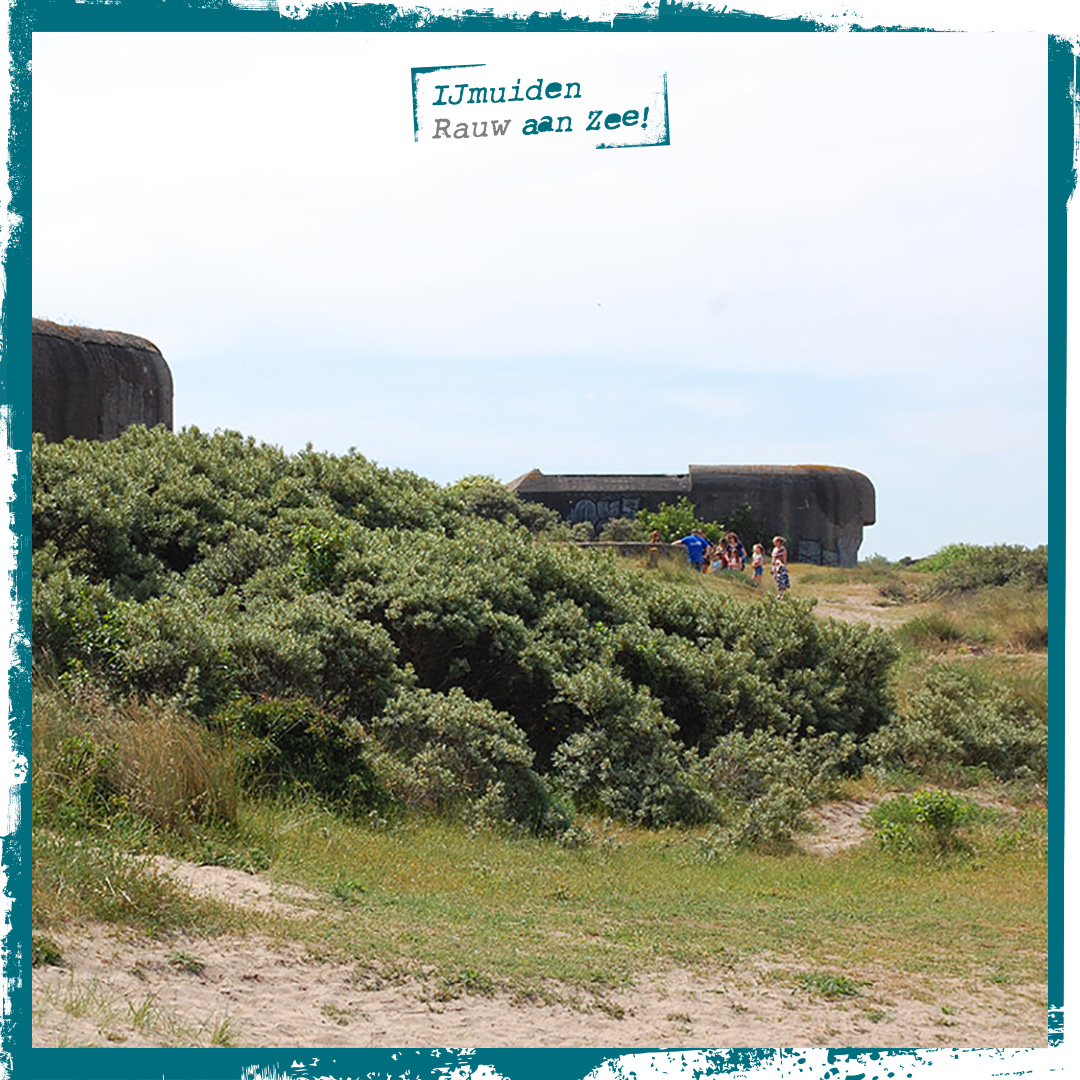 Wat ga jij doen dit weekend?

Onze Tip 3:

#1 ActionPlanet Fun Day
#2 Ruïne Bewoond
#3 Buitenrondleiding bunkers Bunker Museum IJmuiden

Er is zoveel te doen. Voor nog veel meer activiteiten ga je naar onze UITagenda  ijmuiden.nl/uitagenda/