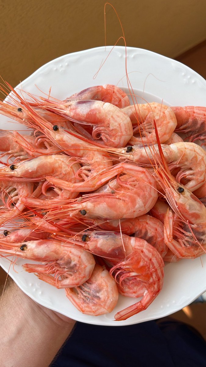 Ayer tocó gamba roja de Denia y quisquilla de aperitivo.