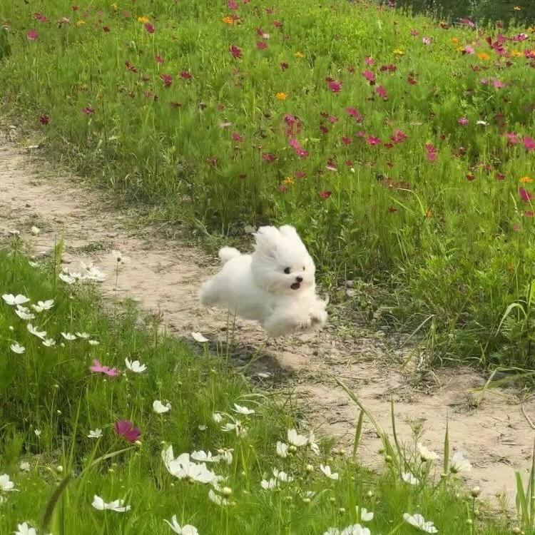 maaindaeyo's tweet photo. @B_hundred_Hyun 🐕 https://t.co/a4KW1Djrf2