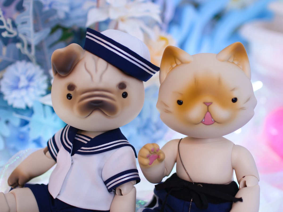 𝗭𝗢𝗢𝗟𝗢𝗚𝗜𝗖 주올로직 tweet media