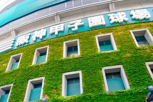 【偶然一致】甲子園決勝は「日大三VS沖縄尚学」、中学生の全国大会も「東京VS沖縄」に
news.livedoor.com/article/detail…

23日の甲子園は東京と沖縄による頂上決戦。実は全国中学校体育大会の軟式野球でも、東京の駿台学園と沖縄の宜野座が決勝に進み、東京VS沖縄の頂上決戦が実現する。