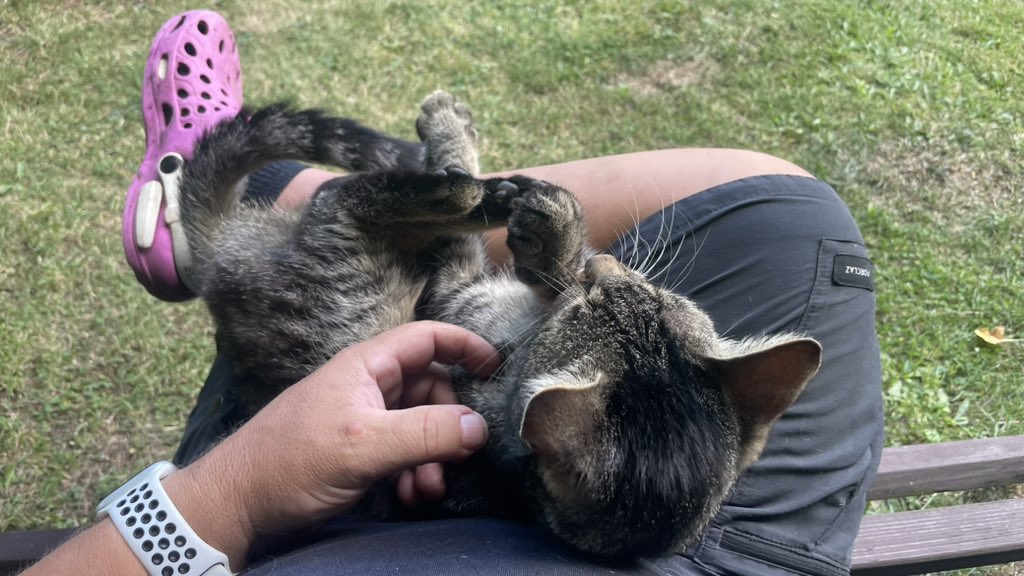 Langi (@langi_dron) on Twitter photo 