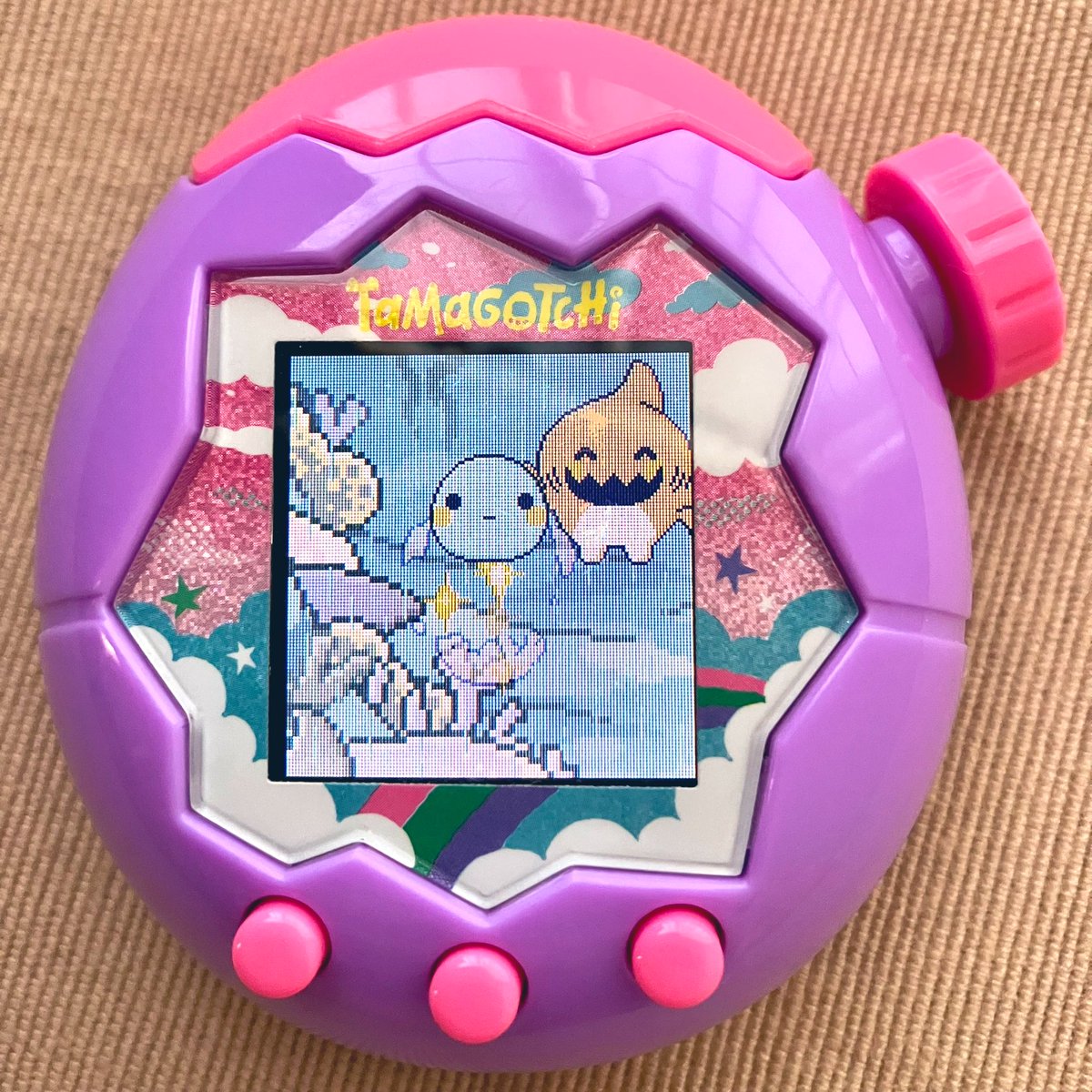 しゃーくっちに進化！ 完全にいるかっち似の子が誕生