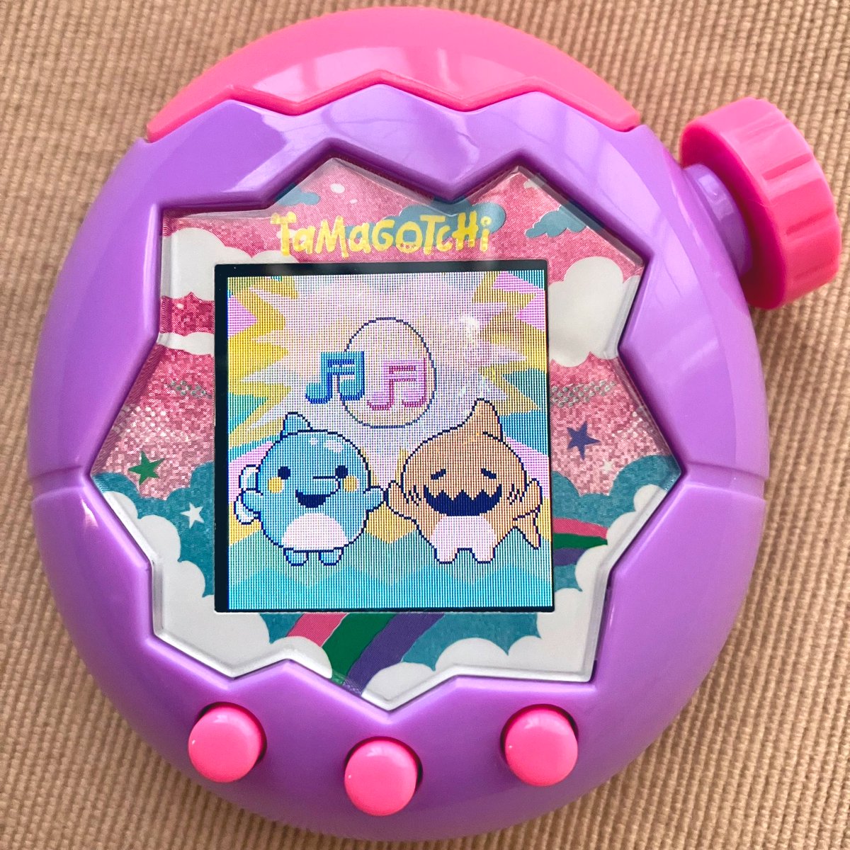 しゃーくっちに進化！ 完全にいるかっち似の子が誕生