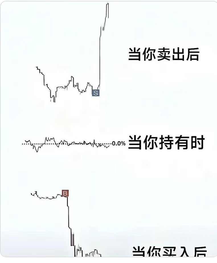 散户尤其技术派的交易手法高度同质化，很容易被AI量化盯上收割。从逻辑上讲，所有术层面的手法都会被AI完全学习，术上人是跑不赢量化的，只能在道上建立策略