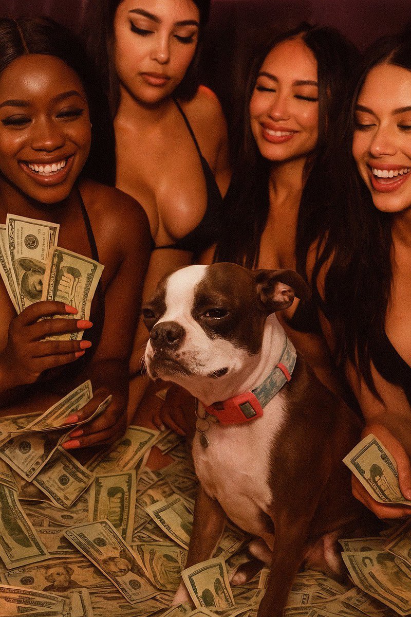 firstnoble's tweet photo. @0xweb3bond Meanwhile #SADWOOF spending all on his girls. He's still sad..
WOOF WOOF
EQCT1Avbn7wfkJ45CHRU1PcdYd7gCnW7Tq52hof2UHw3CVWw https://t.co/oWcx22xtSm