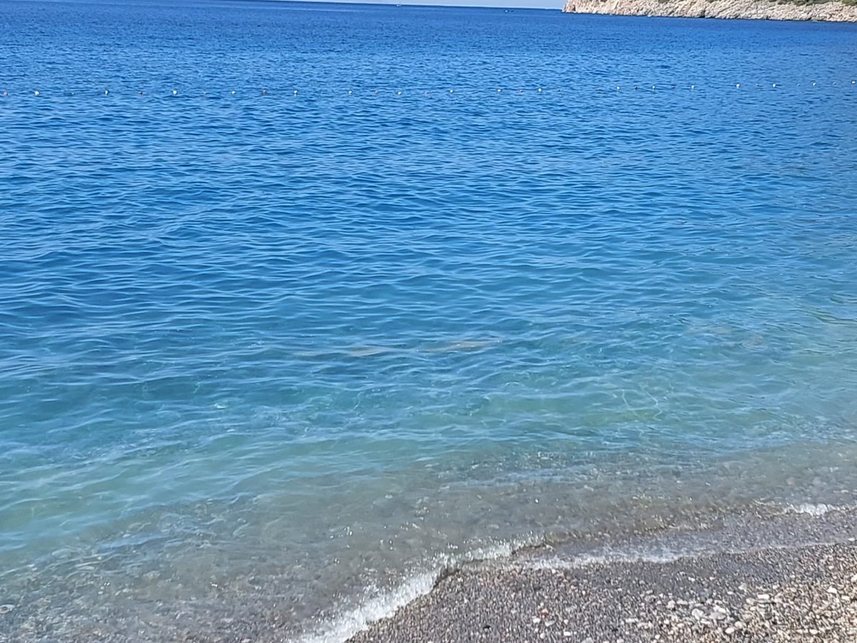 mervinyo__'s tweet photo. Sahilde sintine!! @datcabelediyesi @muglabsb https://t.co/huAsuojcaM