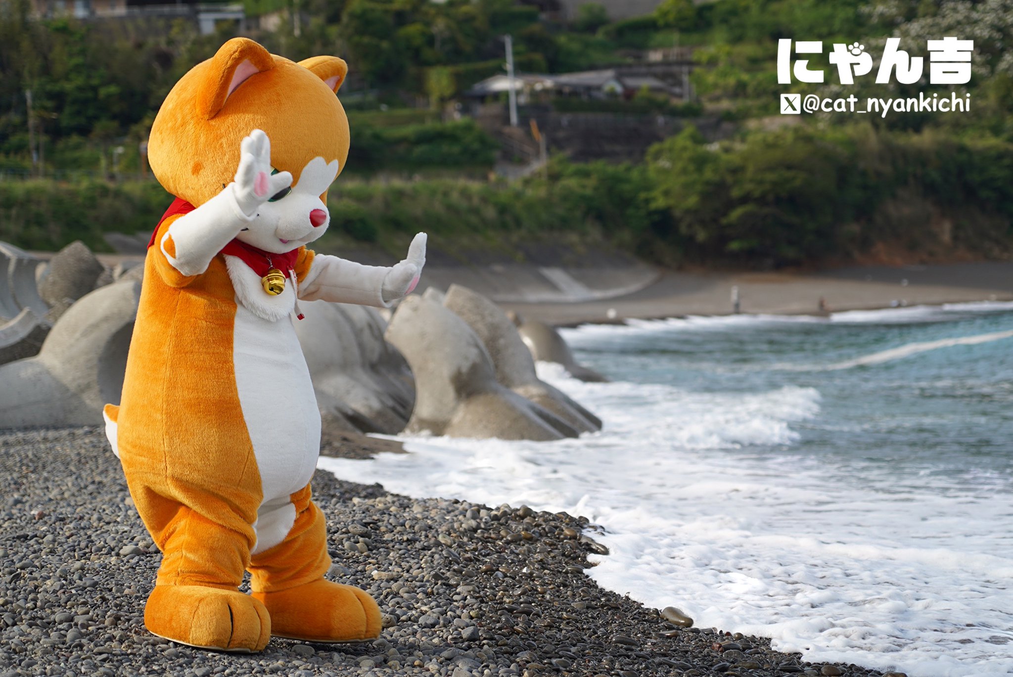 にゃんにゃ☆　0604 AmiAmi [Character & Hobby Shop] | MEGA CAT PROJECT ONE PIECE