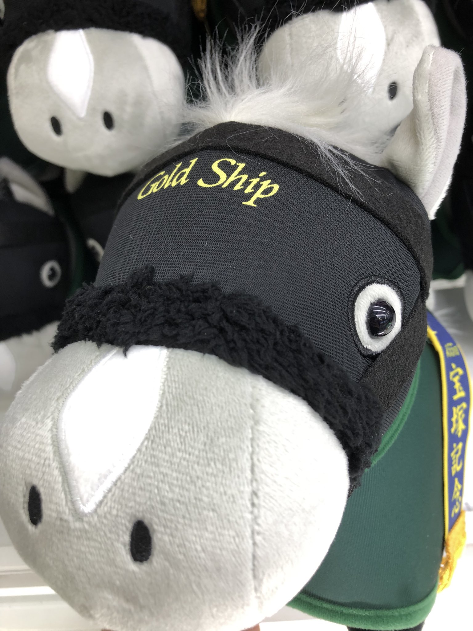 フォーエバーヤング✖️5＆タイトルホルダー✖️2 ゴールド