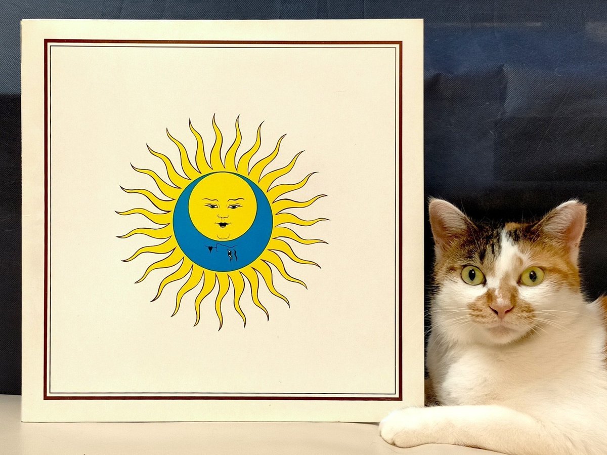 #猫とレコード
キング・クリムゾン『太陽と戦慄』

1973年、新体制クリムゾンによる衝撃作。
「太陽と戦慄パートII」は、やはり「トーキング・ドラム」の終盤から聴き始めたいですね。レコードなら簡単。CDだと手間。
写真は、ご飯の皿が空なのに誰も起きてこないときの戦慄した三毛猫ひな。

#三毛猫